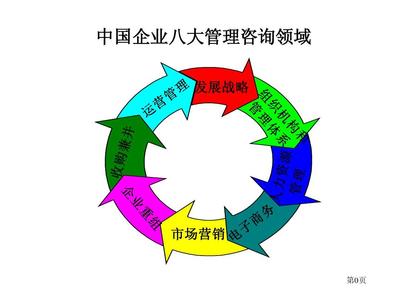 羅蘭貝格 中國企業(yè)管理咨詢提要