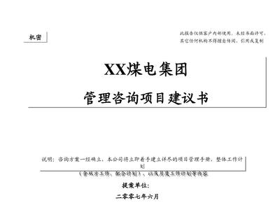 XX戰(zhàn)略建議書
