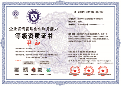 申報(bào)企業(yè)咨詢管理資質(zhì)投標(biāo) 須備